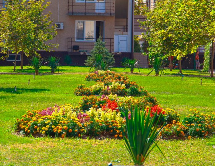 Внешний вид и территория - Пансионат «ФЕЯ-2 SUNBEACH RESORT»